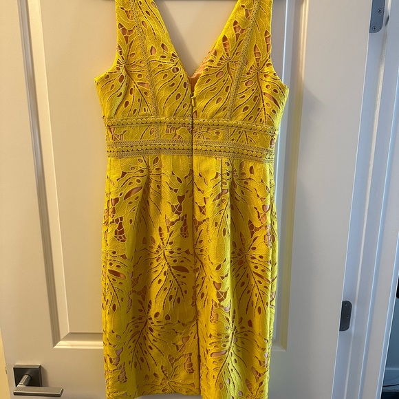 Anthropologie MAEVE Yellow Gold Gardenia Collin Lace Dress — Size 8 NWT - Picture 4 of 6